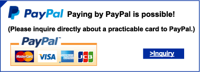 PayPal Paying by PayPal is possible!